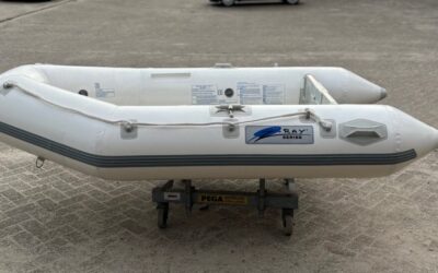 Z-Ray I-300