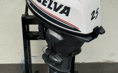 Selva 25PK EFI 4-takt (158)